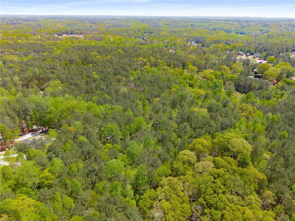 Pinecrest Drive, Tyrone, Georgia image 13