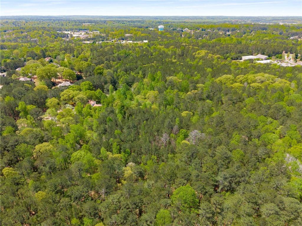 Pinecrest Drive, Tyrone, Georgia image 9