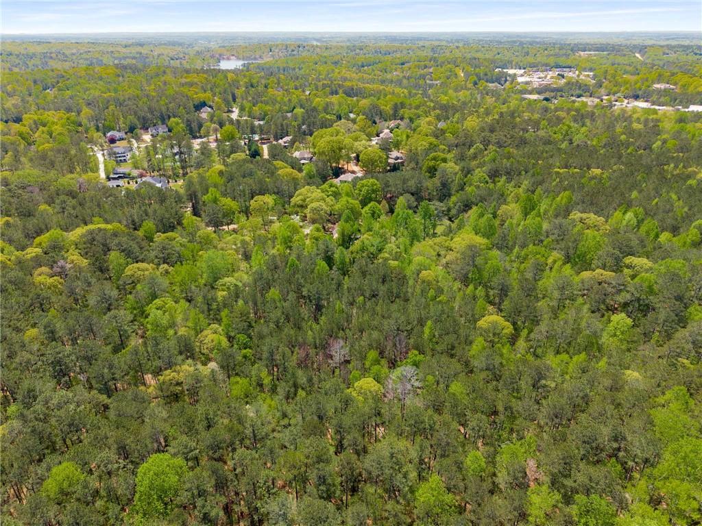 Pinecrest Drive, Tyrone, Georgia image 10