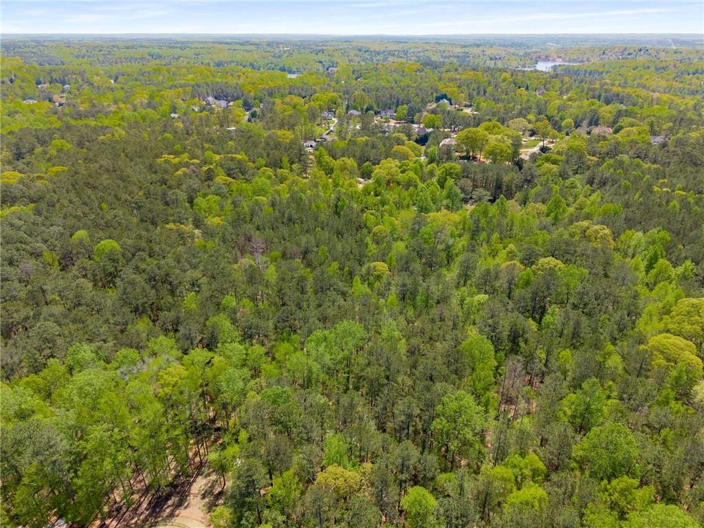 Pinecrest Drive, Tyrone, Georgia image 11