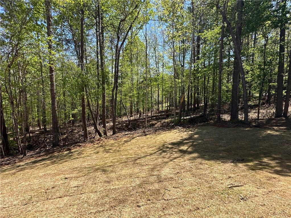 66 Pine Creek Court