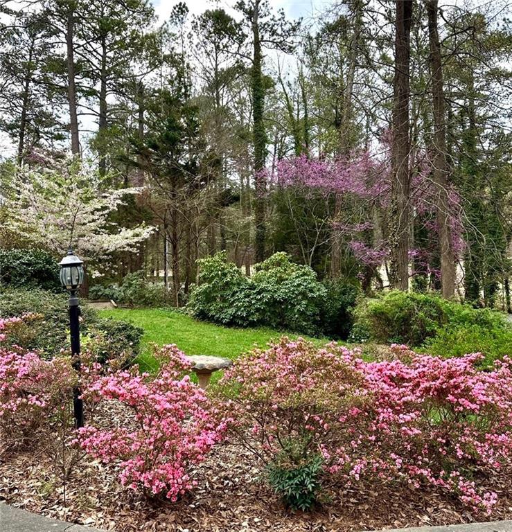 357 Breeze Hill Lane, Canton, Georgia image 43