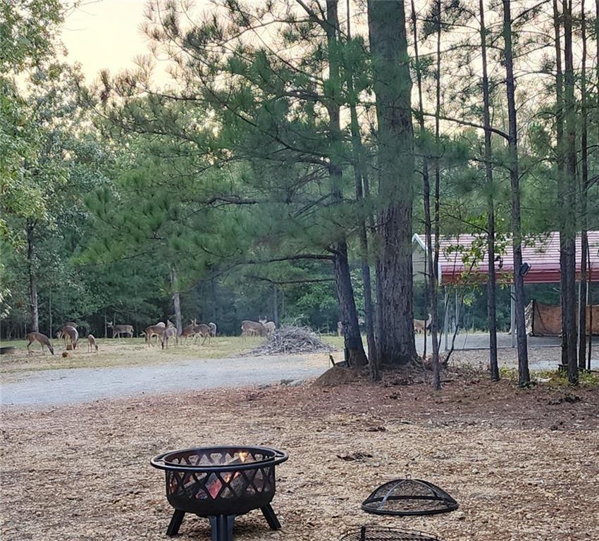 1814 Fosters Mill Road, Rome, Georgia image 3