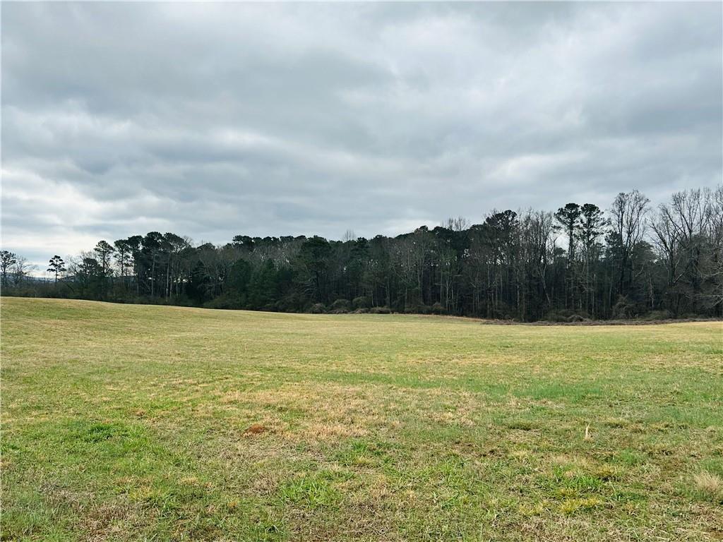 Bryant Road, Ranger, Georgia image 3
