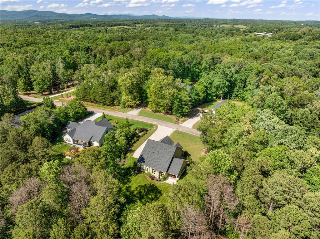 372 Abbington Way, Clarkesville, Georgia image 28