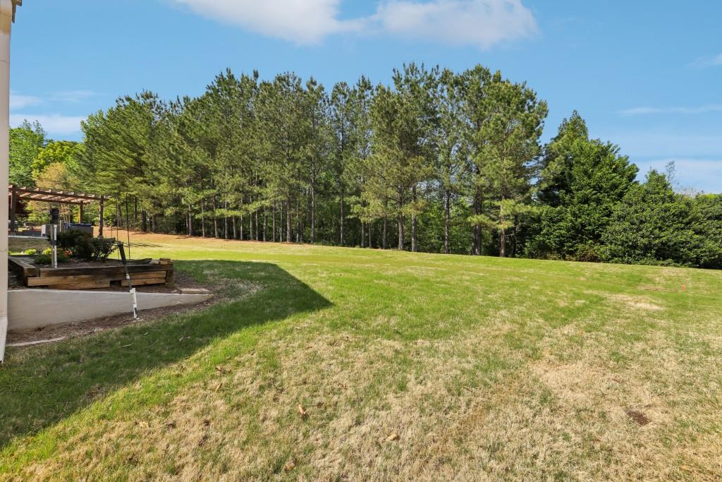 129 Allium Court, Griffin, Georgia image 49