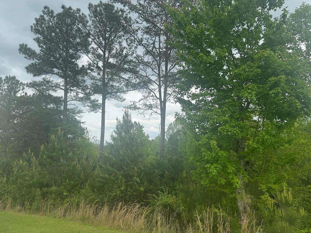 L231 Ridge Point Way, Blairsville, Georgia image 1