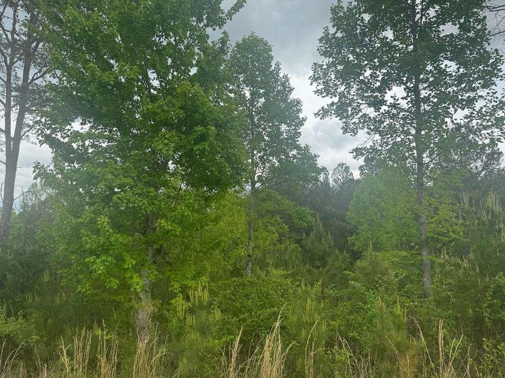 L231 Ridge Point Way, Blairsville, Georgia image 3