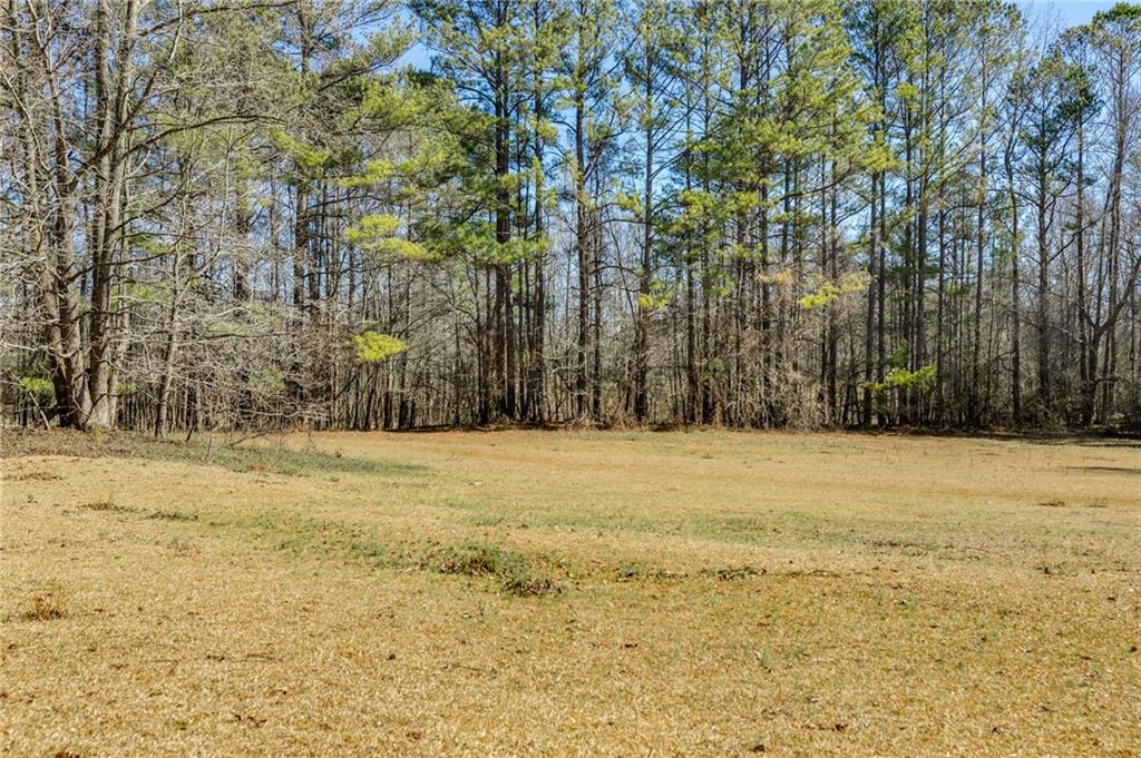 446 Mcgukin Road, Bremen, Georgia image 36