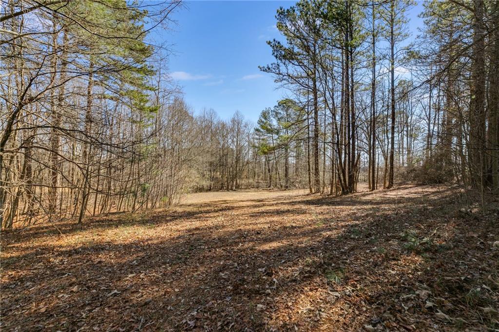 446 Mcgukin Road, Bremen, Georgia image 39