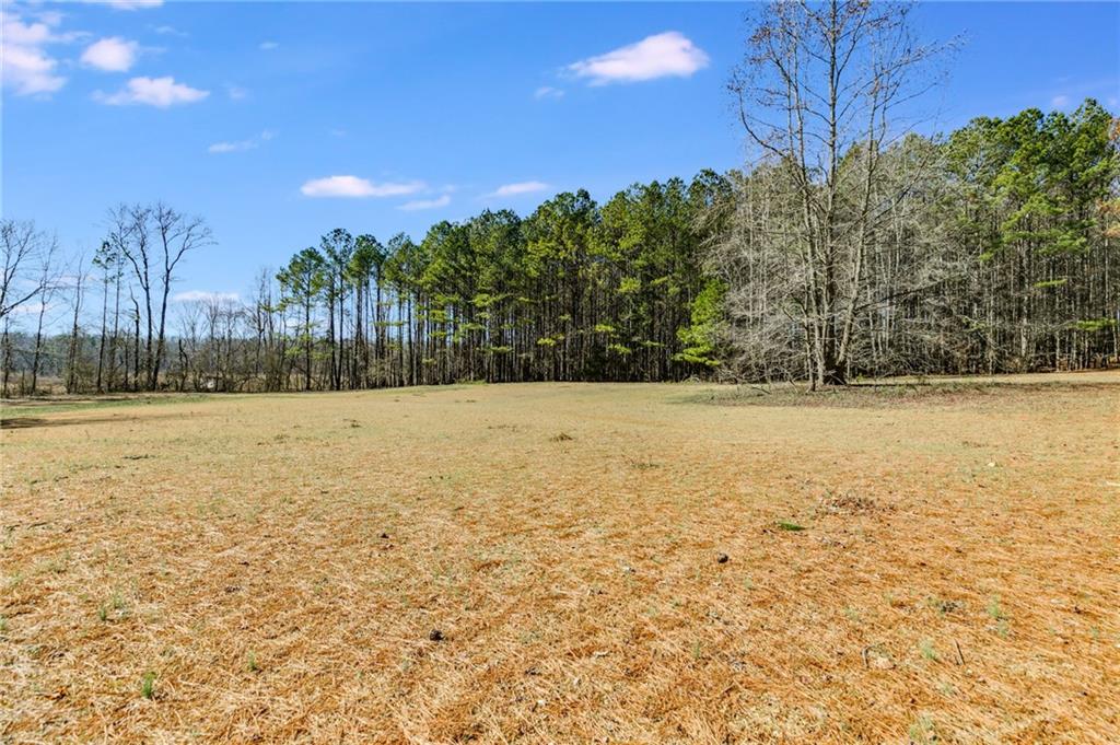 446 Mcgukin Road, Bremen, Georgia image 37