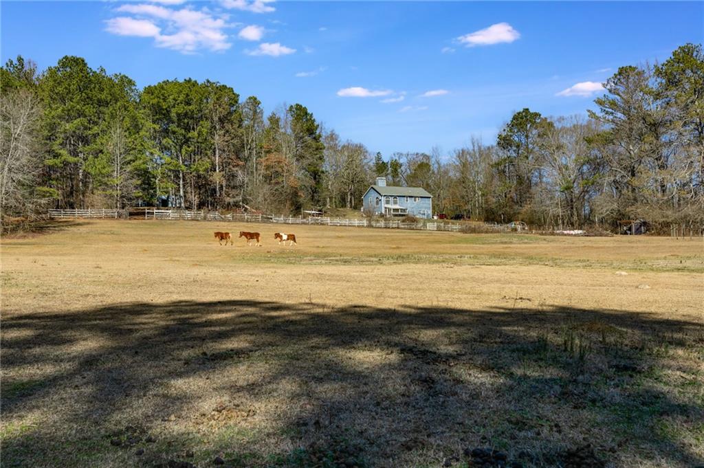 446 Mcgukin Road, Bremen, Georgia image 42