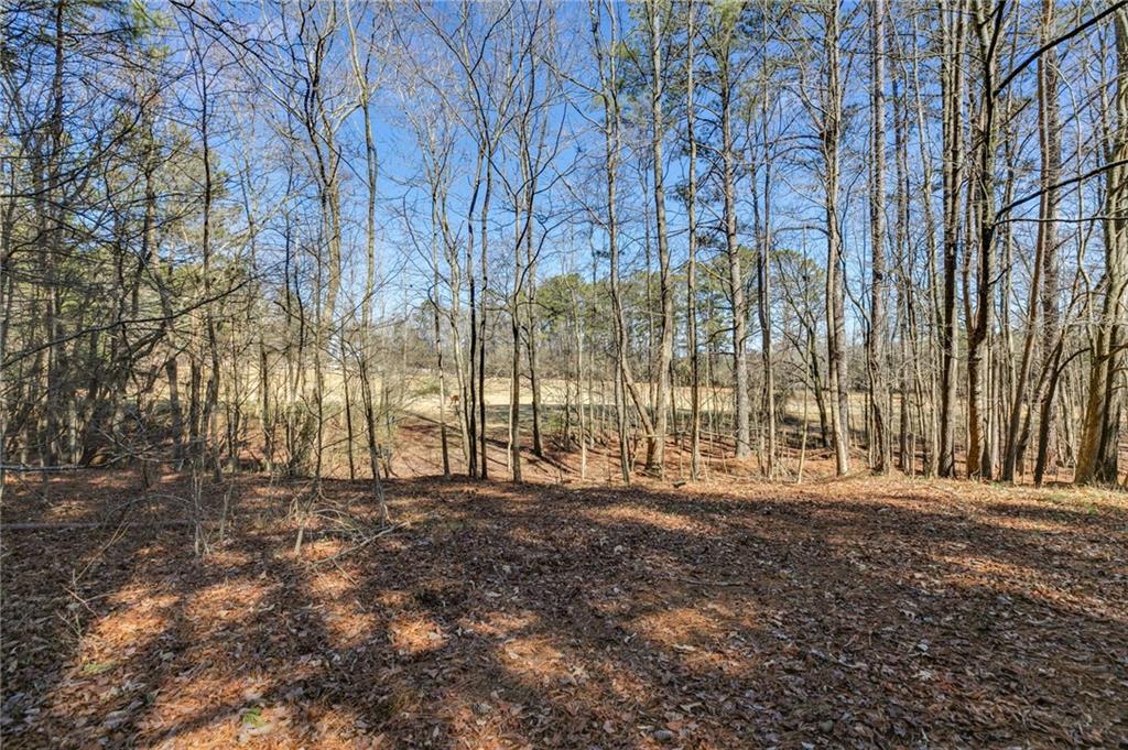 446 Mcgukin Road, Bremen, Georgia image 38