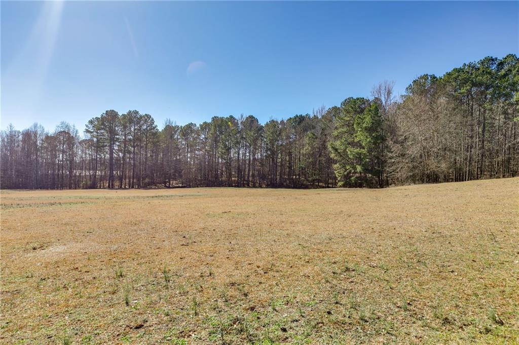 446 Mcgukin Road, Bremen, Georgia image 28