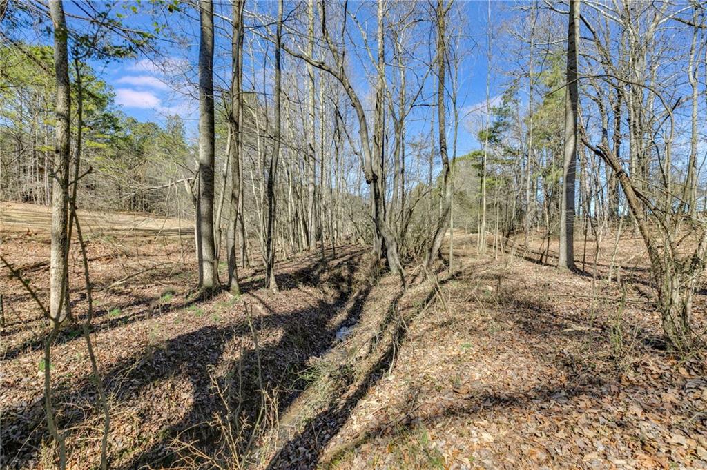 446 Mcgukin Road, Bremen, Georgia image 44