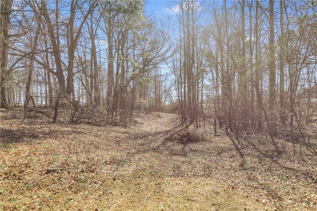 446 Mcgukin Road, Bremen, Georgia image 43