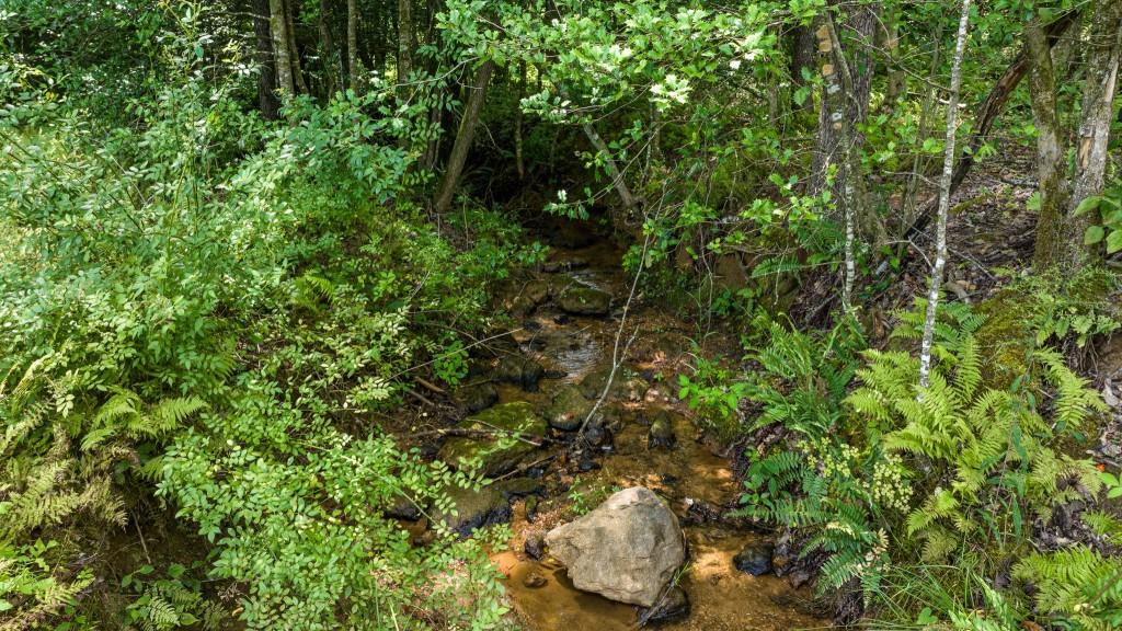 Lot 11 Waterstone, Mineral Bluff, Georgia image 5