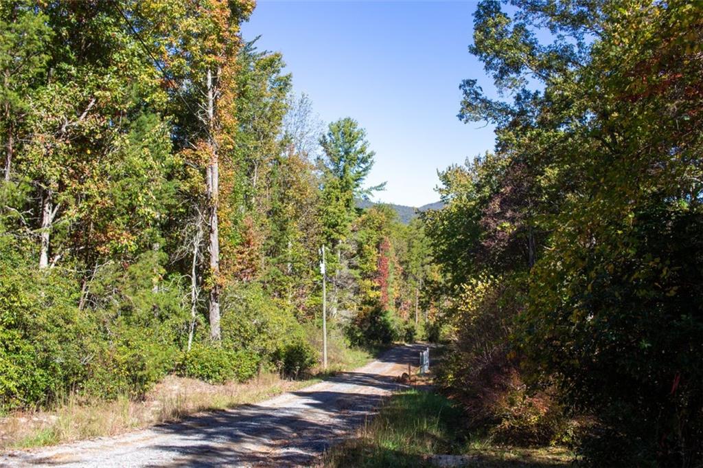 195 Laurel Hill Lane