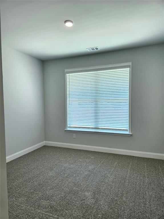1685 Crumbley Road, Mcdonough, Georgia image 16