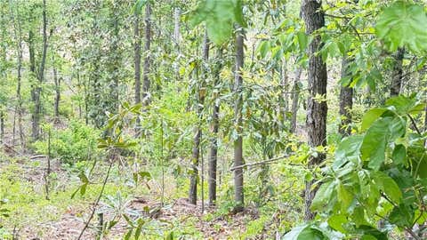 Vacant Land For Sale - Hulseytown Road<br/> Dallas, GA 30157