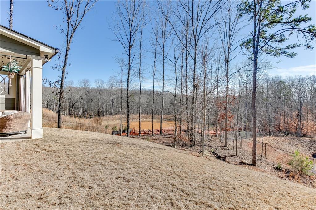 7880 Silk Tree Pointe, Braselton, Georgia image 43