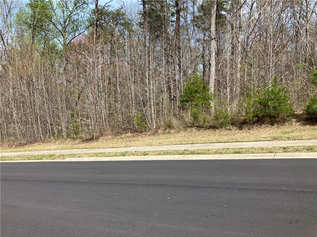 6039 Bluewater Boulevard, Gainesville, Georgia image 20