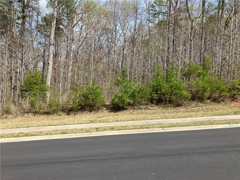 6039 Bluewater Boulevard, Gainesville, Georgia image 21
