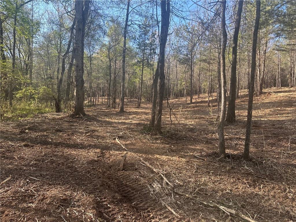 00 Lee Mashburn Road