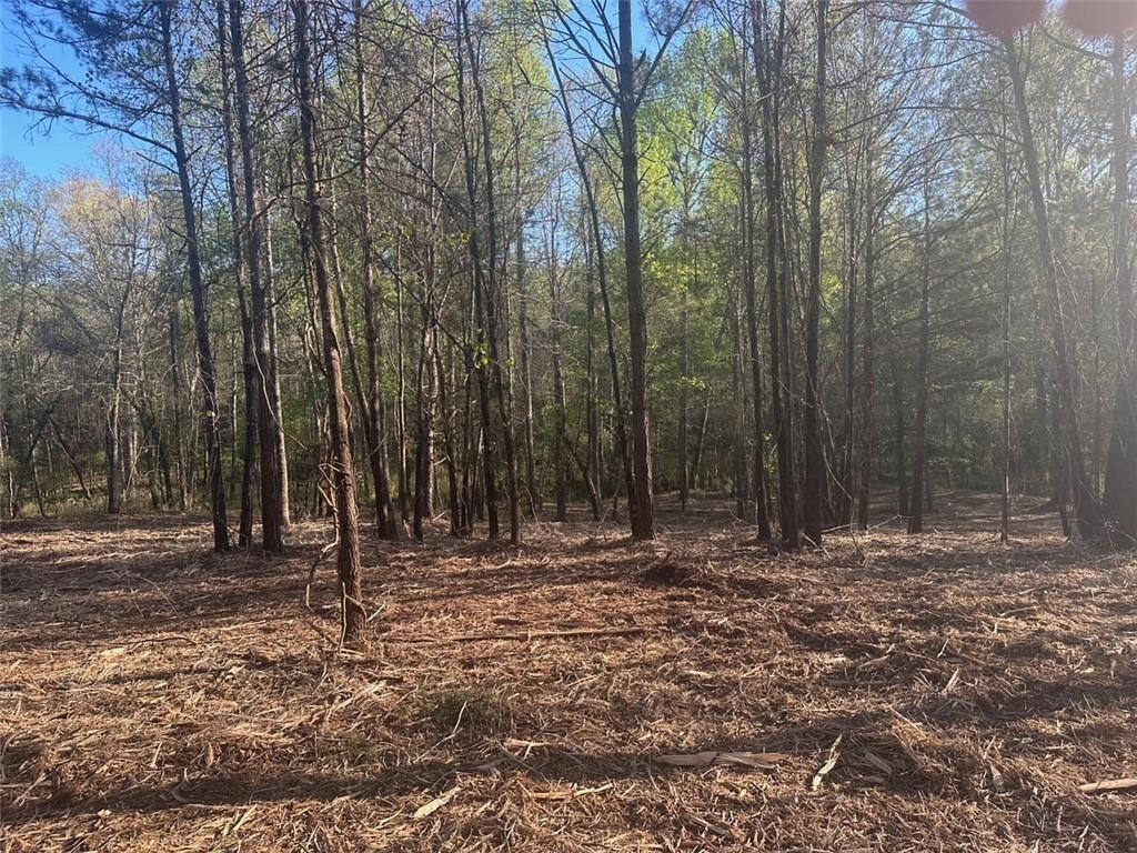 00 Lee Mashburn Road