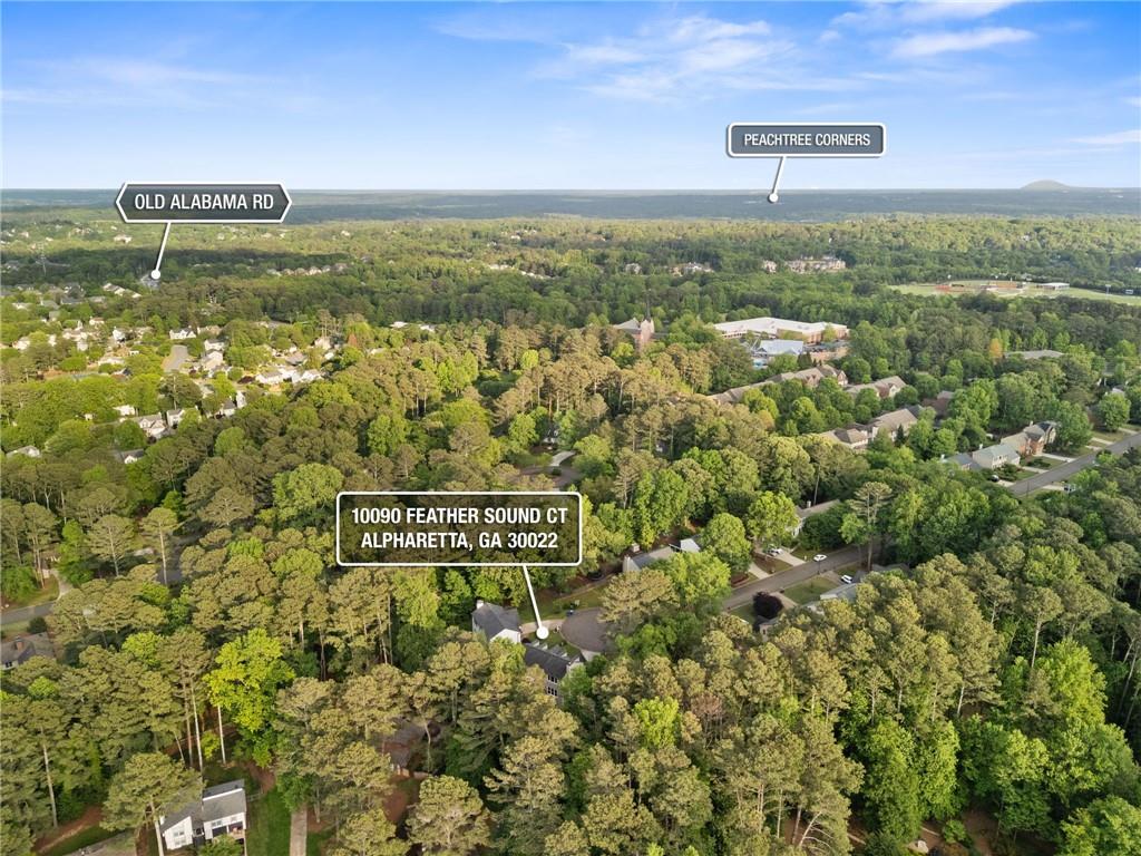 10090 Feather Sound Court, Alpharetta, Georgia image 14