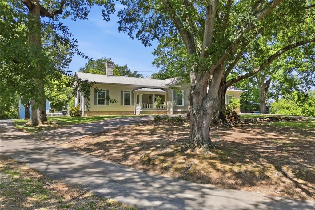 703 Forrest Avenue