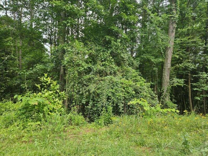 This vacant lot is ready for your dream home, nestled in an established neighborhood with lake access. The community features two lakes, a beach area, a playground, a park, and more—perfect for enjoying fishing, swimming, boating, and peaceful relaxation. Conveniently located near I-20, Piedmont Hospital, the Georgia International Horse Park, schools, places of worship, and shopping. Don’t miss the opportunity—your new home site awaits!