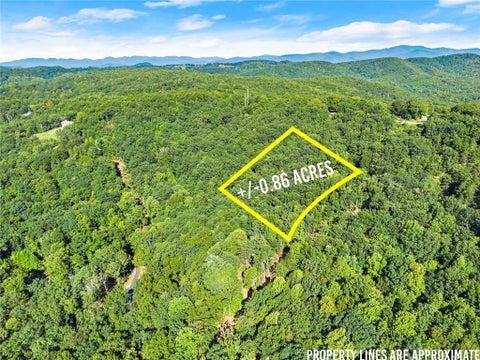 Vacant Land For Sale - 375 Mountain Crest Drive<br/> Clarkesville, GA 30523
