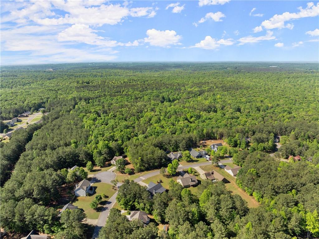 450 Makers Way, Dawsonville, Georgia image 44