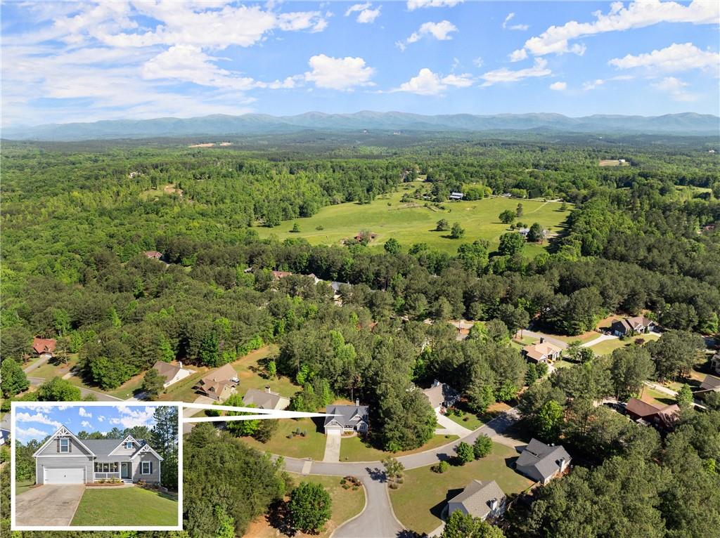 450 Makers Way, Dawsonville, Georgia image 40