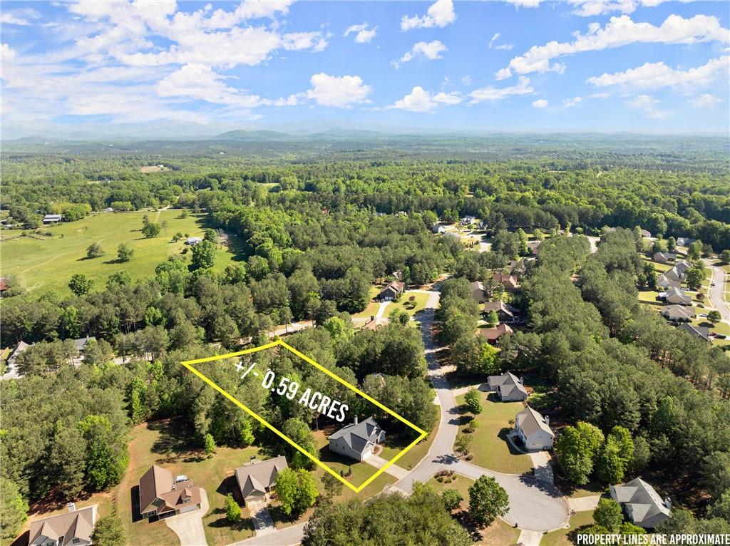 450 Makers Way, Dawsonville, Georgia image 41