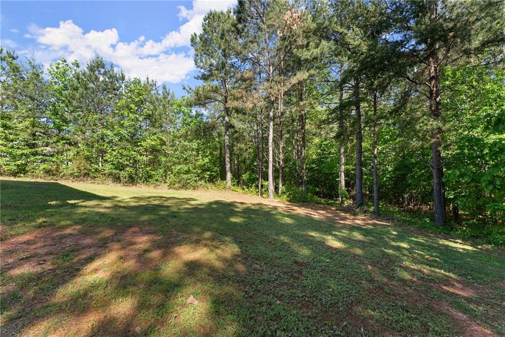 450 Makers Way, Dawsonville, Georgia image 38