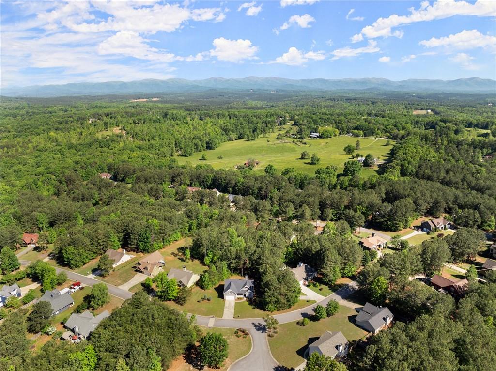 450 Makers Way, Dawsonville, Georgia image 43