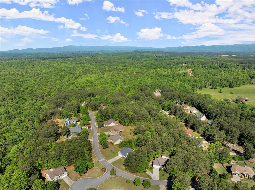 450 Makers Way, Dawsonville, Georgia image 42