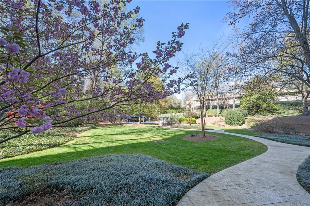 3530 Piedmont Road NE 3I