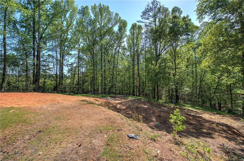 2528 Mulberry Rock Road, Dallas, Georgia image 24