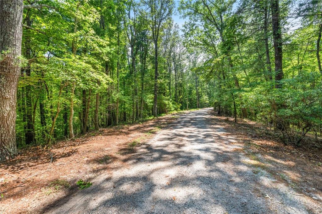 Holly Hills Estates Road, Clarkesville, Georgia image 6