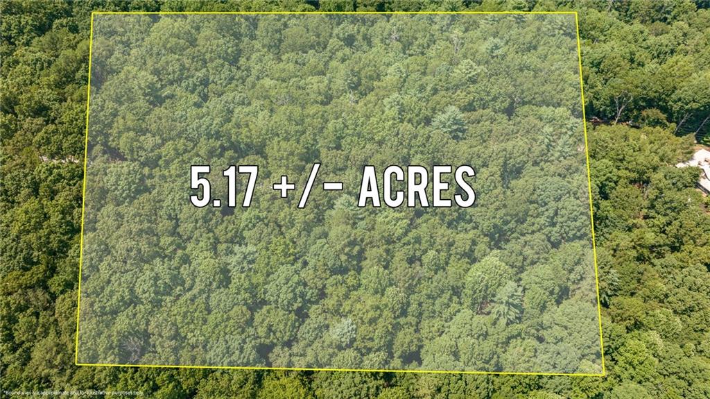Holly Hills Estates Road, Clarkesville, Georgia image 11