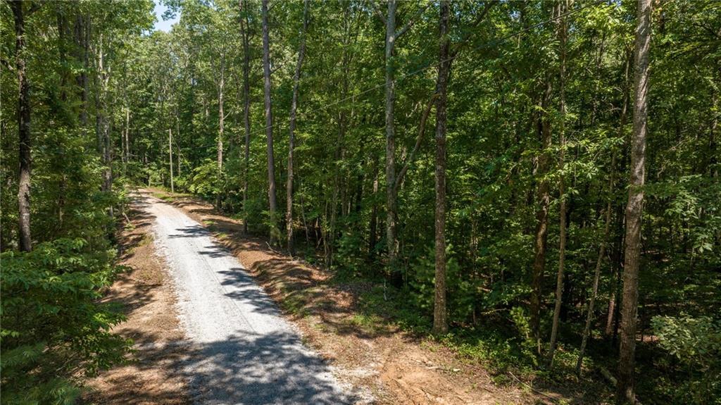 Holly Hills Estates Road, Clarkesville, Georgia image 8