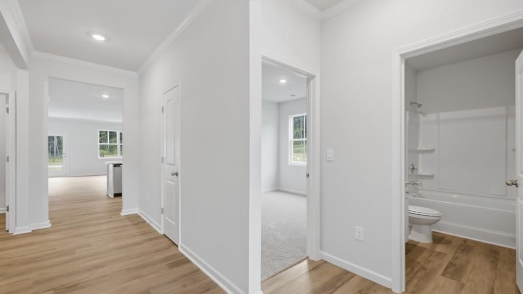 3516 Camille Road