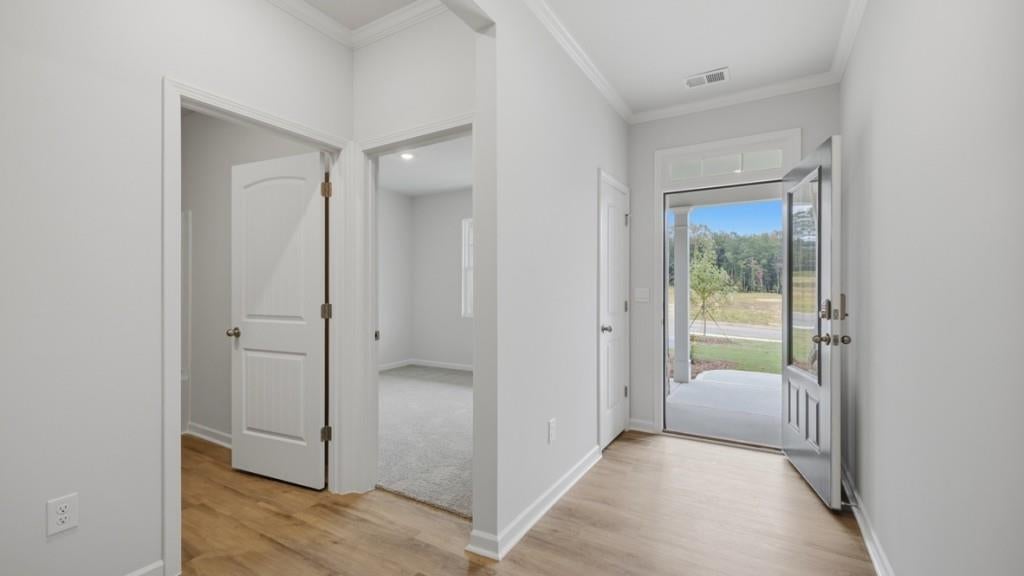 3516 Camille Road
