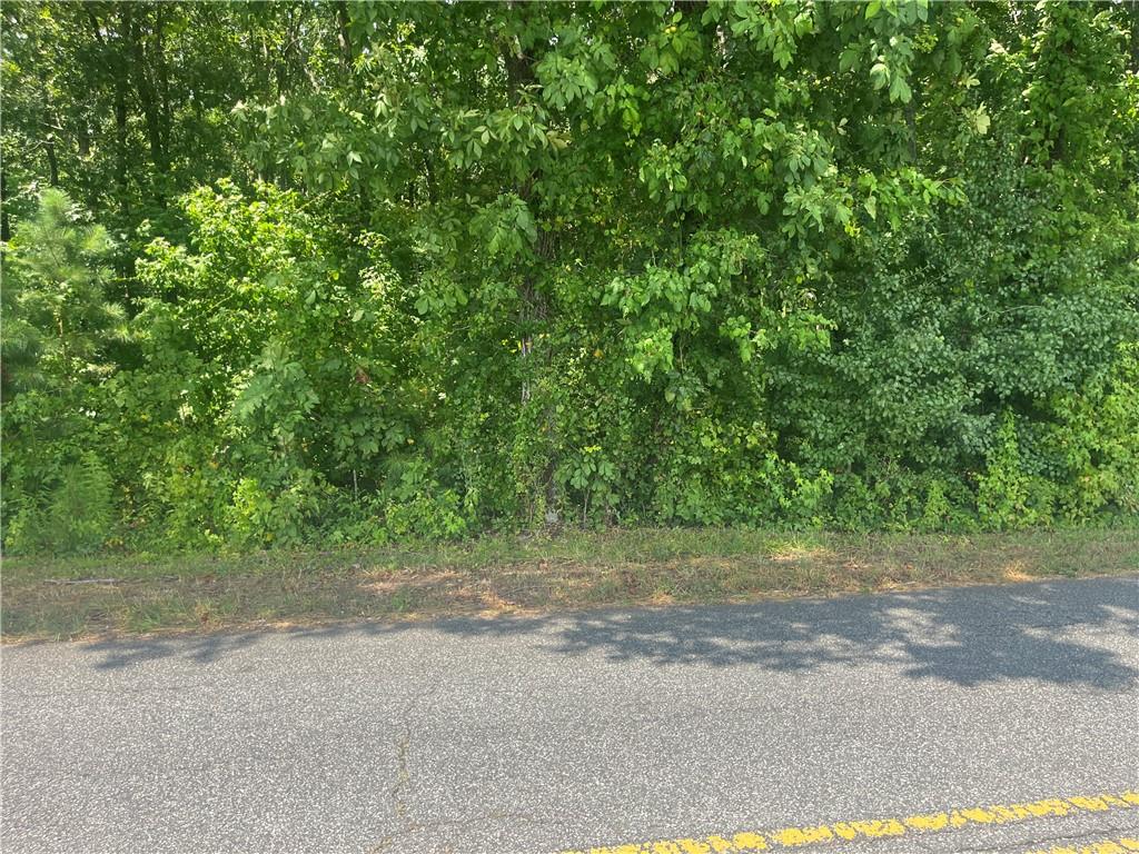 2061 Henry Scott Rd-LOT A 2.9 acres