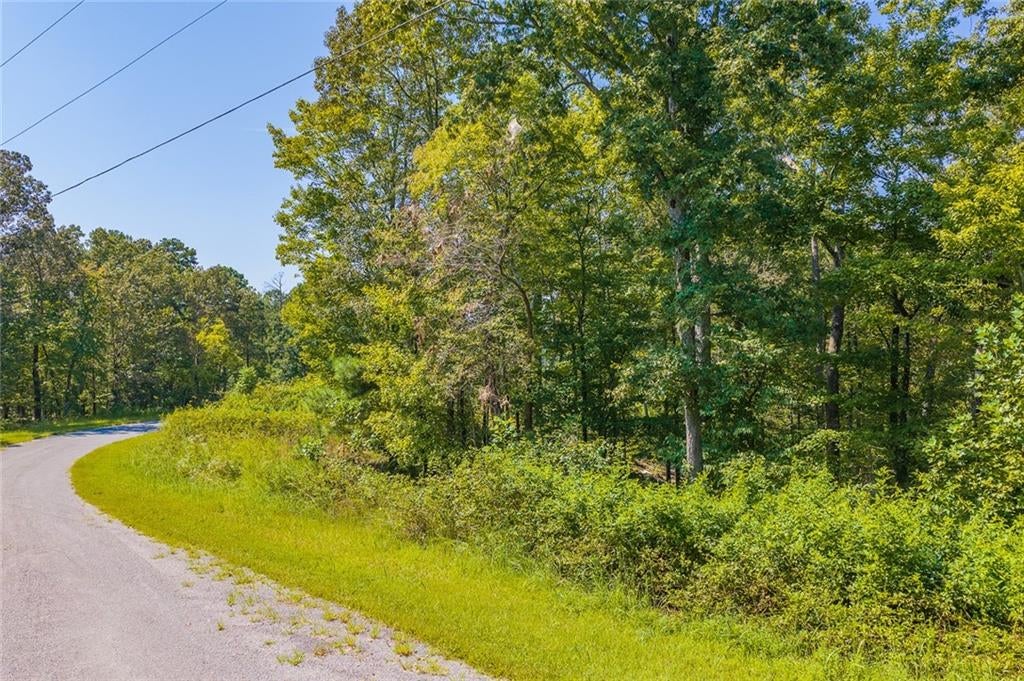 Lot 31 Freestone Street