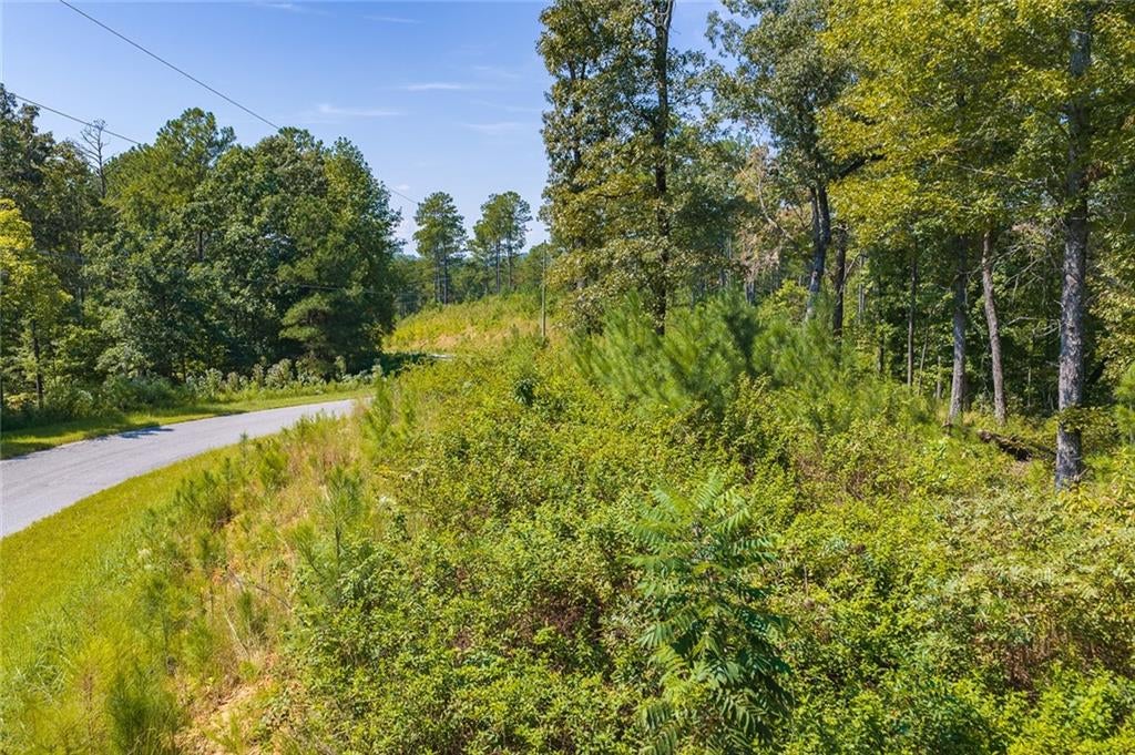 Lot 31 Freestone Street