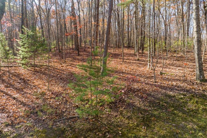 LOT 7 Joseph Anderson Trail